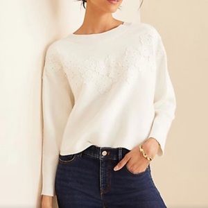 ANN TAYLOR White Ivory Floral Appliqué Crop Knit Sweater S Small EUC